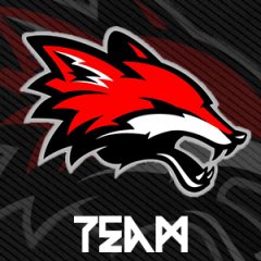 team image